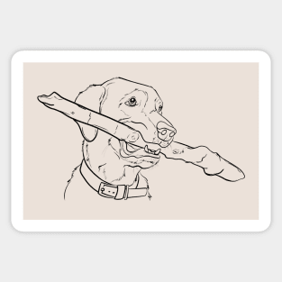 Labrador Retriever Sticker